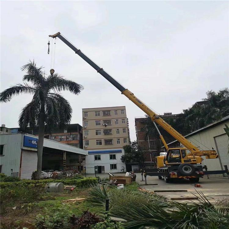 虎门港管委会汽车吊出租多少钱？全面解析与市场行情